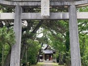 ウッキーさんの松井神社の臥龍梅の投稿写真1