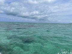 株式会社シー・テクニコの写真2