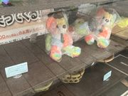 ウッキーさんの晴れの国おかやま館の投稿写真1