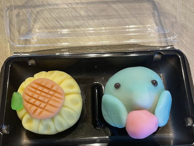 ひまわりとイルカ_龜屋 kashichi