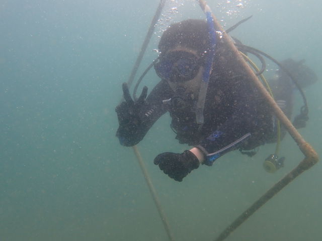 ダイビングはとても楽しかったようです。_SEA DROP HAYAMA DIVERS