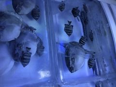 気仙沼シャークミュージアムの写真2