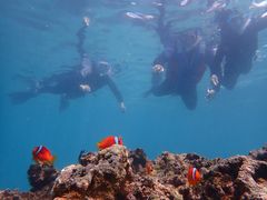 兄ぃさんのmarine assist DEMIへの投稿写真1