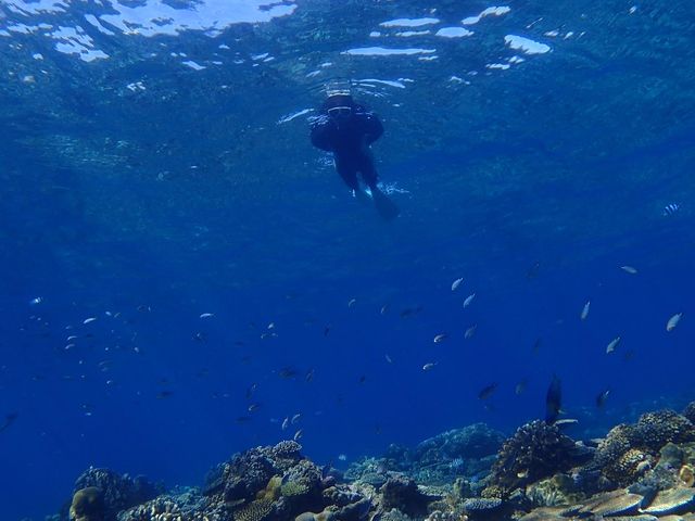 写真はAir DropでiPhoneに飛ばしてもらいました。_Oceans Treasure(オーシャンズトレジャー)