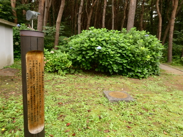 裏庭_寺山修司記念館