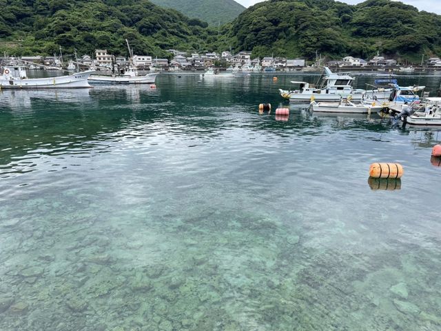 目の前から珊瑚が広がる海
透明度も高いです_ダイビングサービス うみほたる