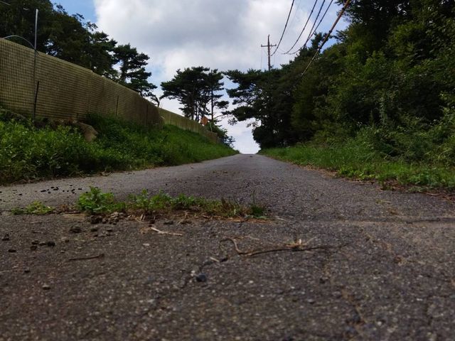 山の一本道。広々とした敷地でたくさんの動物たちがのんびり過ごしていました。_野呂高原ベリーパーク