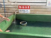 バニーさんのおさむ商店の投稿写真5