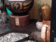 K2さんの朝までダイニング SHIRUSHIの投稿写真7