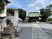 ヌケてるライダーさんの菖蒲神社のフジの投稿写真1