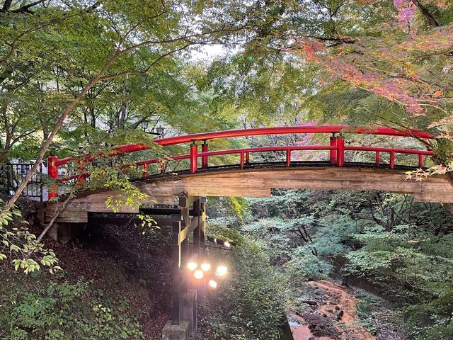 ライトアップ!紅葉は11月中旬頃_河鹿橋