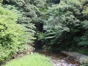 一期一会さんの八重滝の投稿写真2