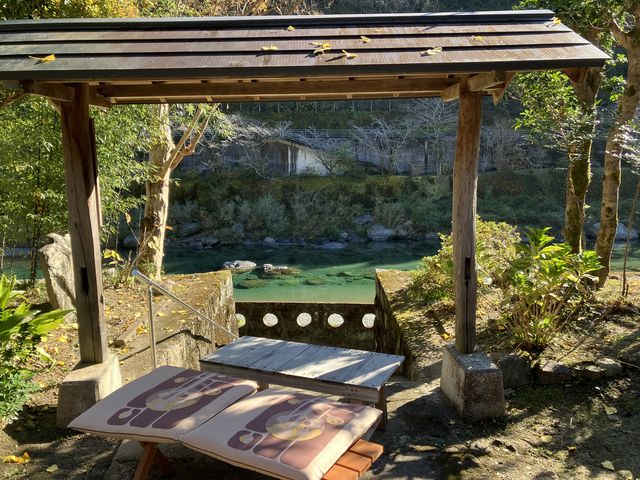 お抹茶を頂いたお庭から_善法寺