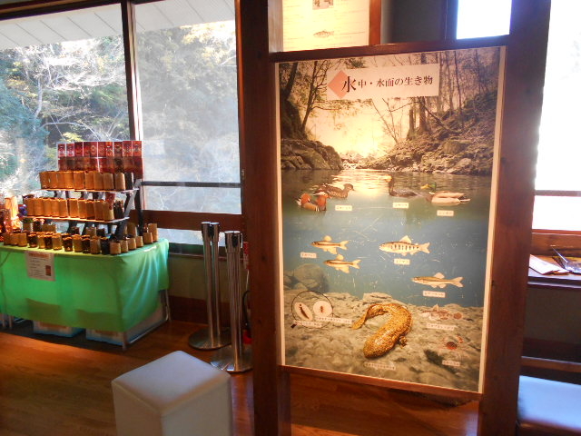 トシローさんの赤目四十八滝渓谷保勝会の投稿写真1