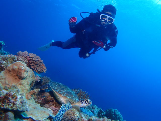 海亀とたくさん写真撮ってくれてありがとございました。_Oceans Treasure(オーシャンズトレジャー)