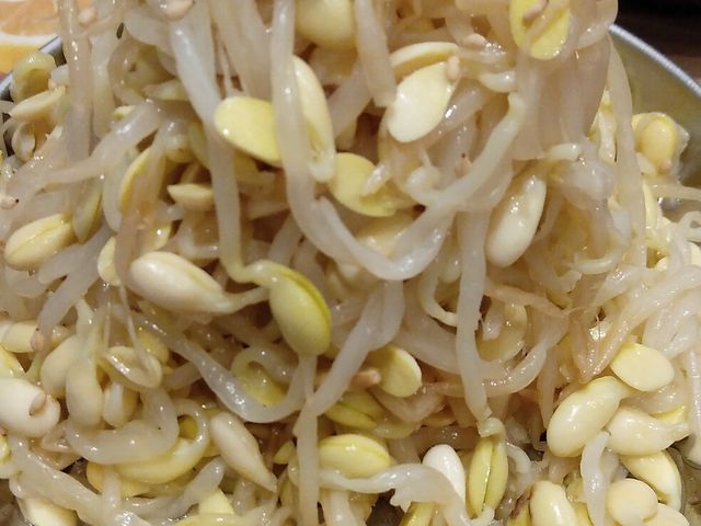 もやしナムル・438円_焼肉ホルモン たけ田 静岡呉服町店