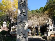 あきさんの鯖大師本坊の投稿写真1