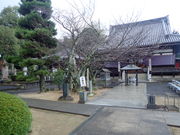 マイBOOさんの曼荼羅寺の投稿写真1