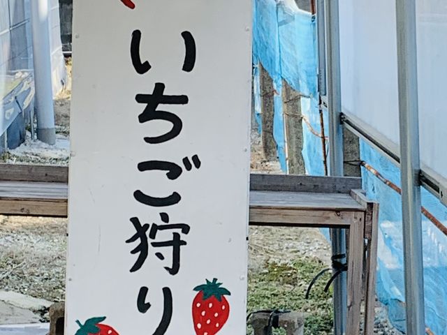 ここから始まります!_福岡農園いちご狩り