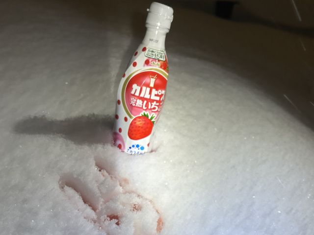 かき氷の写真です。_野あそびガイドみちくさ