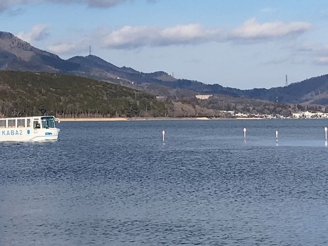 山中湖のカバ 水陸両用バス_山中湖のカバ 水陸両用バス