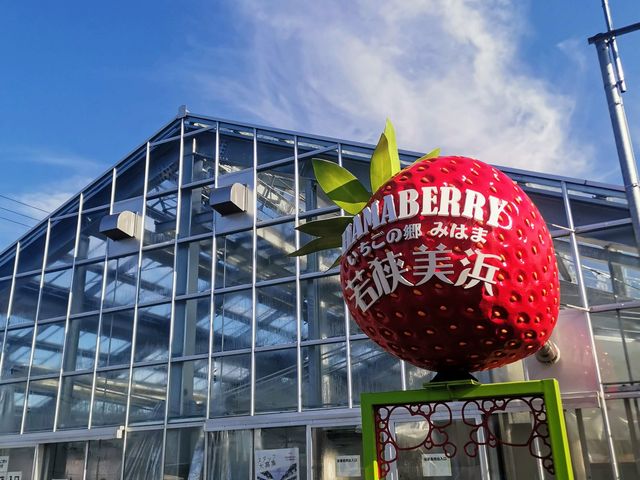 外観。この大きなイチゴがフォトジェニックのスポットです_若狭美浜HAMABERRY~いちごの郷みはま~