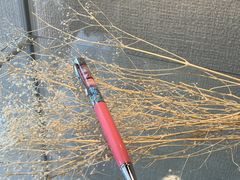 プティ・フルールの写真1
