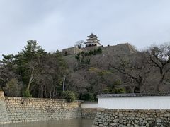 クーニーさんの丸亀城お笑い人力車への投稿写真1