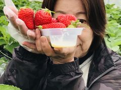 嘉山農園の写真1