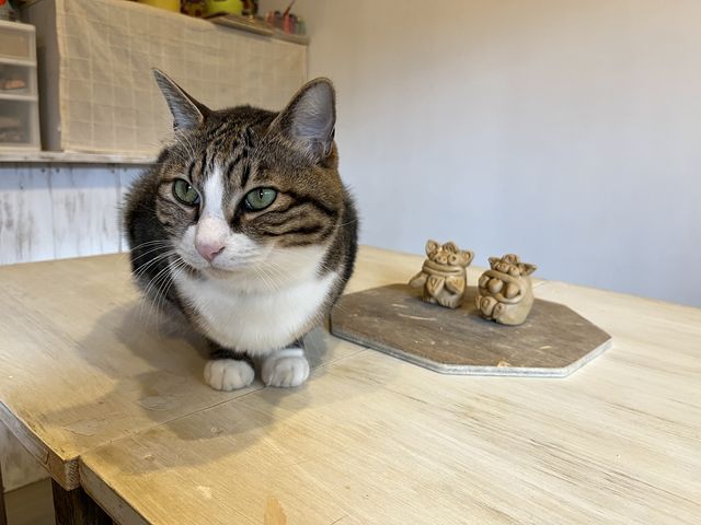 まるるちゃんと一緒に!_atelier repos.5a