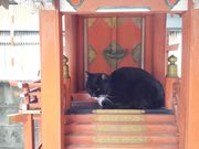 やんまあさんの道祖神社の投稿写真1