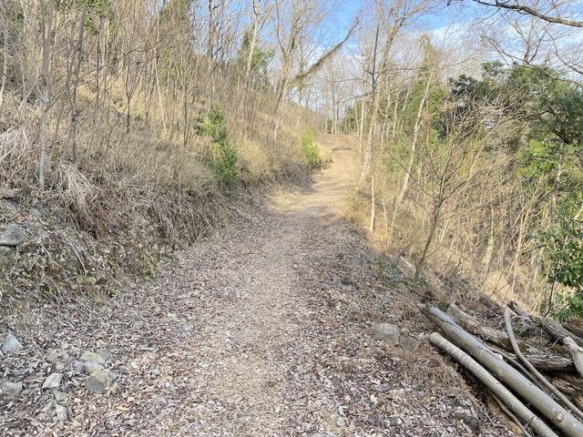 部分的ですがウッドチップの園路もあります。フカフカの感触が心地良いです。_美しい里山公園