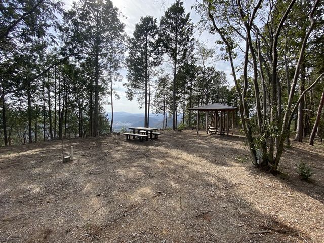 公園内で一番高い山・塩野尾山(しょおのおさん)の山頂にも、広場が整備されています。_美しい里山公園