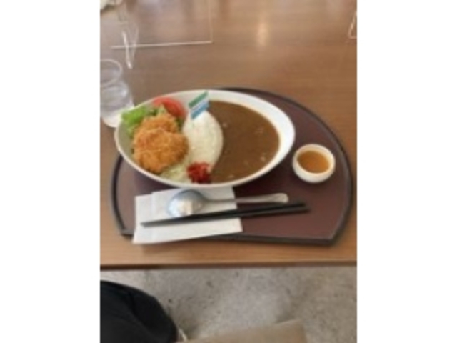 ヒレカツ最高!
味も最高!_国民宿舎サンレイク草木