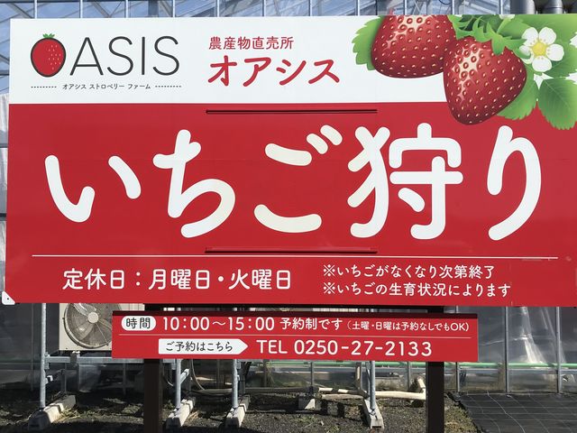 大きな看板が目印_オアシスストロベリーファーム