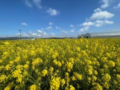 みなみさんのお陽様農園への投稿写真1