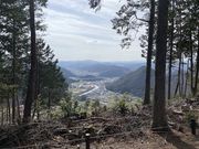 Junさんの美しい里山公園の投稿写真7