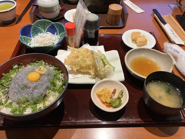 生しらす美味しい_浜菜坊