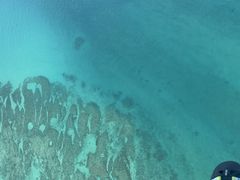 naoさんのManaia Okinawaへの投稿写真1