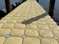 み〜さんの日本ドルフィンセンターへの投稿写真1