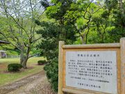 あきぼうさんの館山野鳥の森の投稿写真1