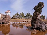 正太郎さんの海峡いさりび公園の投稿写真1