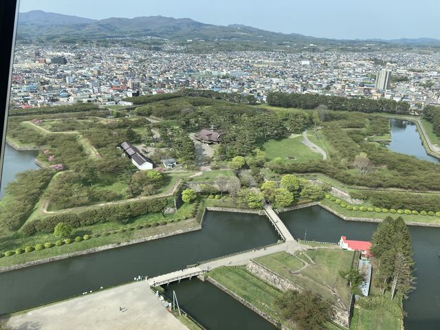 新緑の鮮やかな五稜郭_函館まちあるきガイド