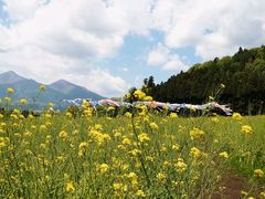 yu‐cyanさんの猪苗代ハーブ園への投稿写真1