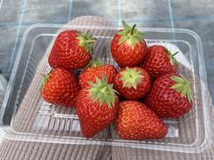 ちゃまさんのイチゴベースへの投稿写真1