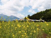 yu‐cyanさんの猪苗代ハーブ園の投稿写真1