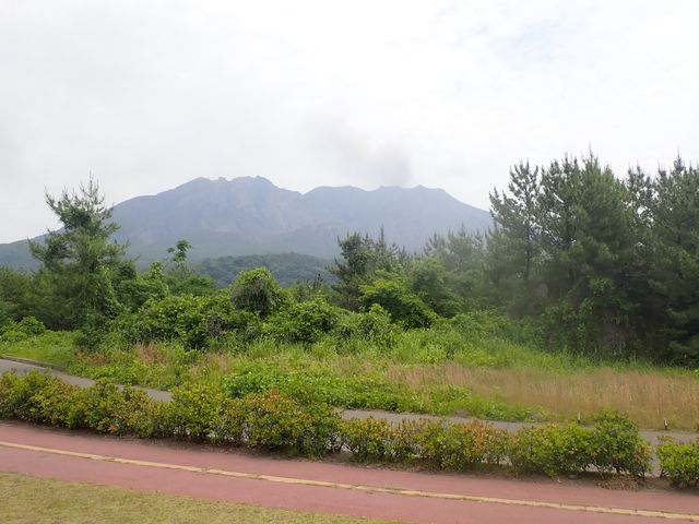 赤水展望広場