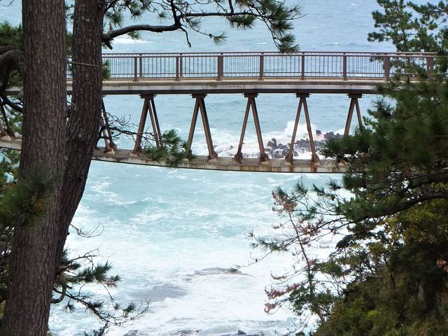 断崖と断崖の間に展望橋があり、千畳敷岩の全体が見られます。_千畳敷岩