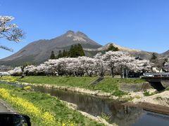 由布院温泉の写真2