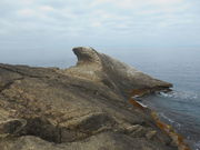 トシローさんの安城岬ふれあい公園の投稿写真1